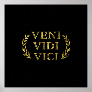 Veni Vidi Vici Funny Game Winner Poster