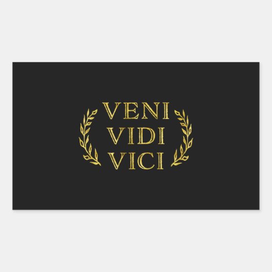 Veni Vidi Vici Funny Game Winner Rechthoekige Sticker (Voorkant)