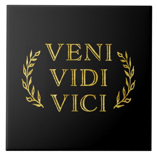 Veni Vidi Vici Funny Game Winner Tegeltje (Voorkant)
