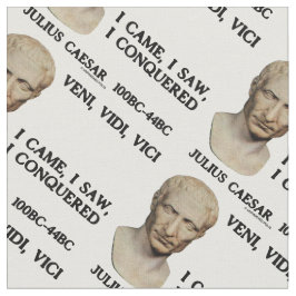 Veni, Vidi, Vici I Came, ik zag, ik veroverde Caes Stof