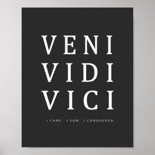 Veni Vidi Vici   Inspirerend prijsopgave Poster