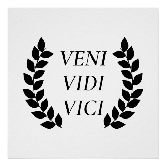 Veni Vidi Vici Perfect Poster (Voorkant)