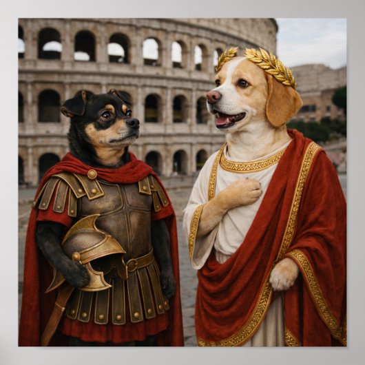 "Veni, Vidi, Vici" Poster (Voorkant)