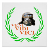 Veni Vidi Vici Poster (Voorkant)