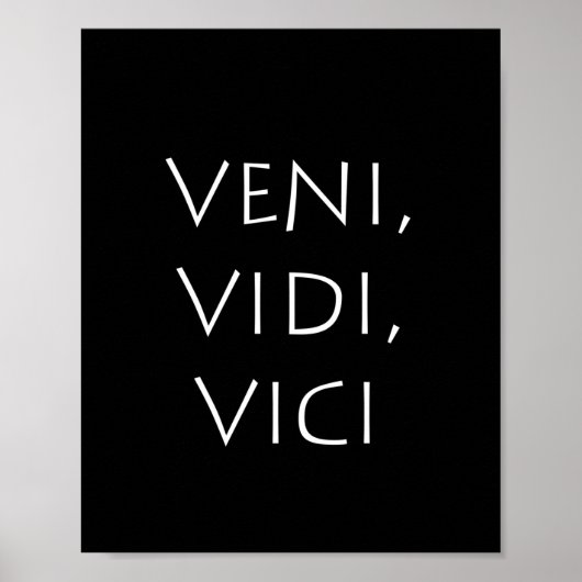 Veni vidi vici poster (Voorkant)