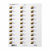 Venice Beach California Sunset Souvenir Label (Full Sheet)
