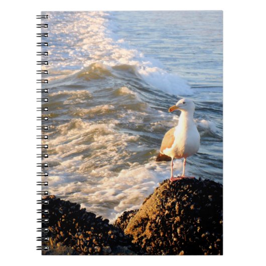 Venice Beach Seagull Notitieboek (Voorkant)