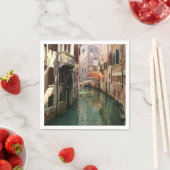 Venice Canal Servet (Insitu)