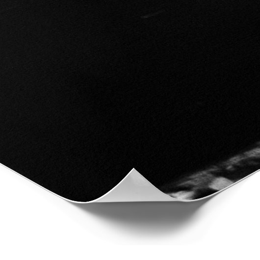 Venice Canals Poster (Hoek)