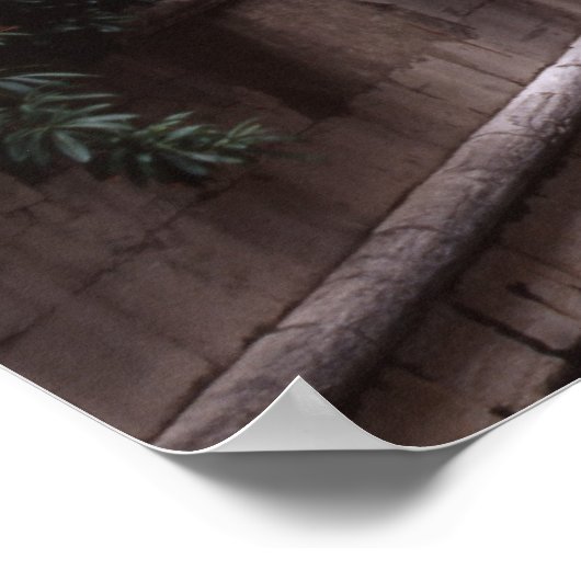 Venice Canals Poster (Hoek)