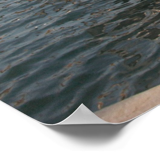 Venice Gondolas Poster (Hoek)
