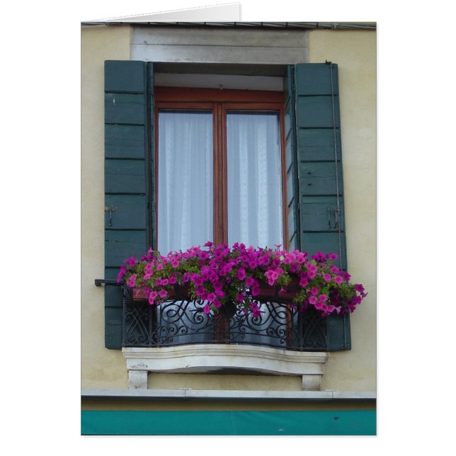 Venice Italië Window Box Blank Card (Voorkant)
