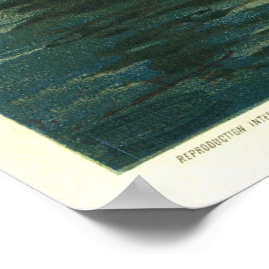 Venise Venice  Franse Adverteren Poster (Hoek)