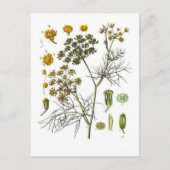 venkel briefkaart (Voorkant)