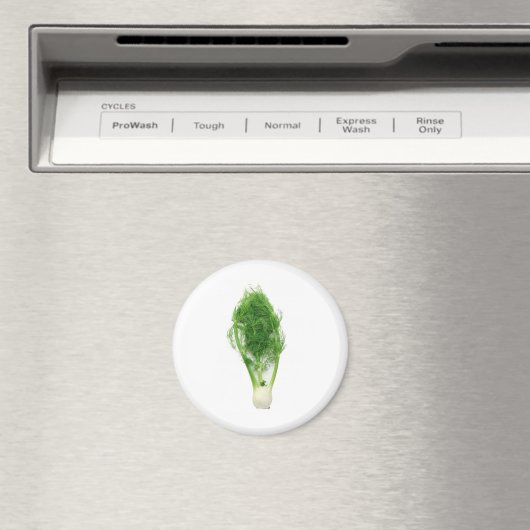 Venkelblad en -bol magneet (Insitu (Vaatwasser))