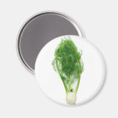 Venkelblad en -bol magneet (Voorkant / Achterkant)