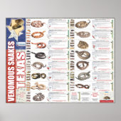 Venomeuze slangen van Texas Poser door NNTRC Poster (Voorkant)