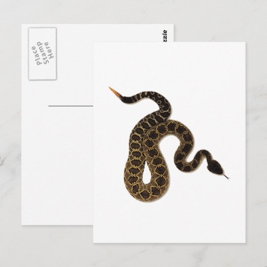 Venomous Bites Briefkaart (Voorkant / Achterkant)