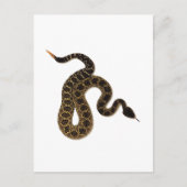 Venomous Bites Briefkaart (Voorkant)