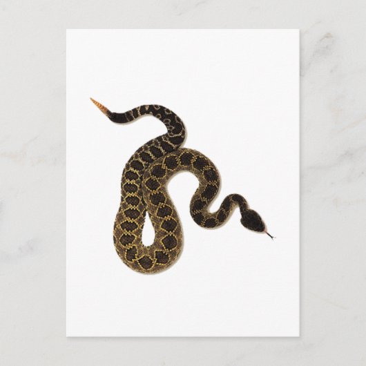 Venomous Bites Briefkaart (Voorkant)