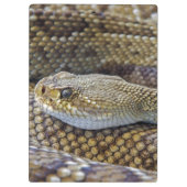 Venomous Rattle Snake Klembord (Achterkant)