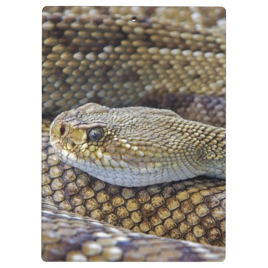 Venomous Rattle Snake Klembord (Achterkant)