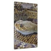 Venomous Rattle Snake Klembord (Rechts)