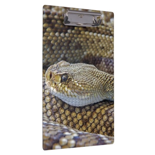 Venomous Rattle Snake Klembord (Rechts)