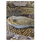 Venomous Rattle Snake Klembord (Voorkant)