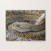 Venomous Rattle Snake Legpuzzel (Horizontaal)