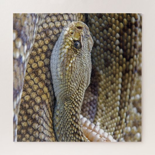 Venomous Rattle Snake Legpuzzel (Horizontaal)