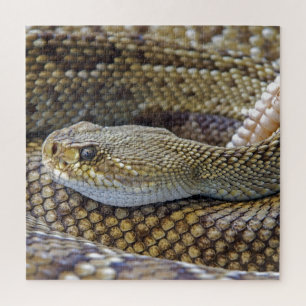 Venomous Rattle Snake Legpuzzel