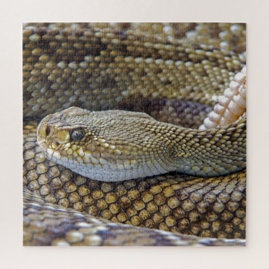 Venomous Rattle Snake Legpuzzel (Verticaal)