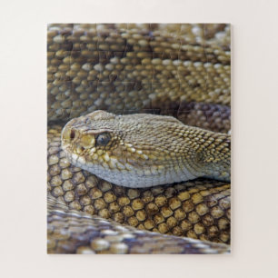 Venomous Rattle Snake Legpuzzel