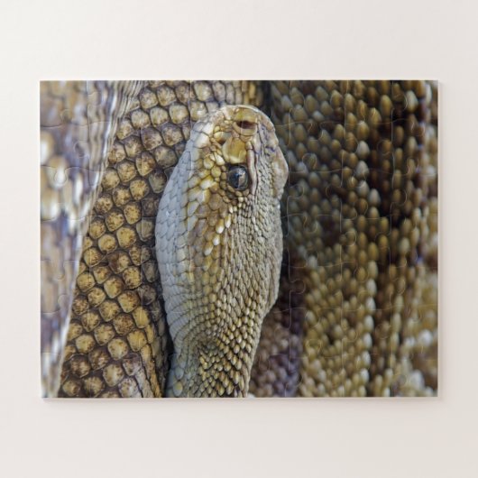 Venomous Rattle Snake Legpuzzel (Horizontaal)