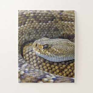 Venomous Rattle Snake Legpuzzel