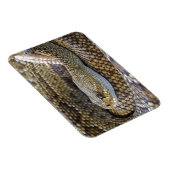 Venomous Rattle Snake Magneet (Rechterzijde)