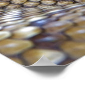 Venomous Rattle Snake Poster (Hoek)