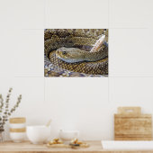 Venomous Rattle Snake Poster (Keuken)