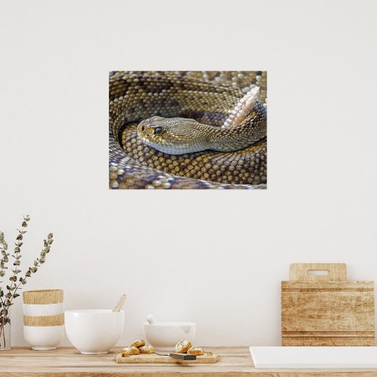 Venomous Rattle Snake Poster (Keuken)