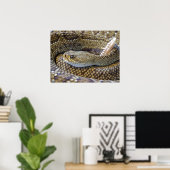 Venomous Rattle Snake Poster (Thuiskantoor)