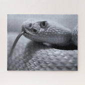 Venomous Rattlesnake in Monochrome, Jigzaag Puzzle Legpuzzel (Horizontaal)