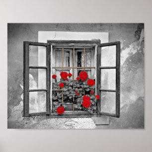 venster-477937 de zwart-witte bloemen van het poster