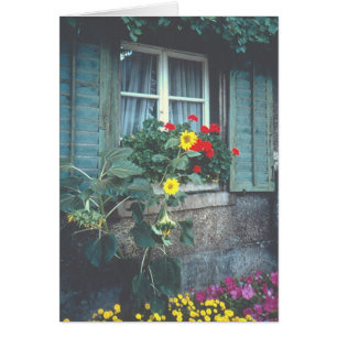 "Venster, bloemen en luiken"