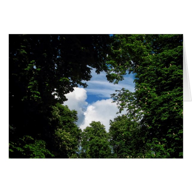 Venster Bomen (Voorkant Horizontaal)