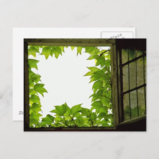 Venster Briefkaart (Voorkant / Achterkant)