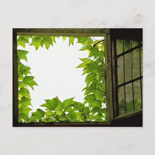 Venster Briefkaart (Voorkant)