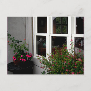 Venster/Briefkaart Briefkaart