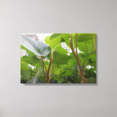 Venster Canvas Afdruk (Voorkant)