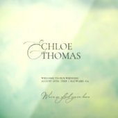 Venster Cling Modern Eenvoudig Bruiloft Welkomstbo Raamsticker (Vel 3)